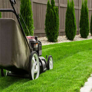 Lawn care company horizon business listings for sale